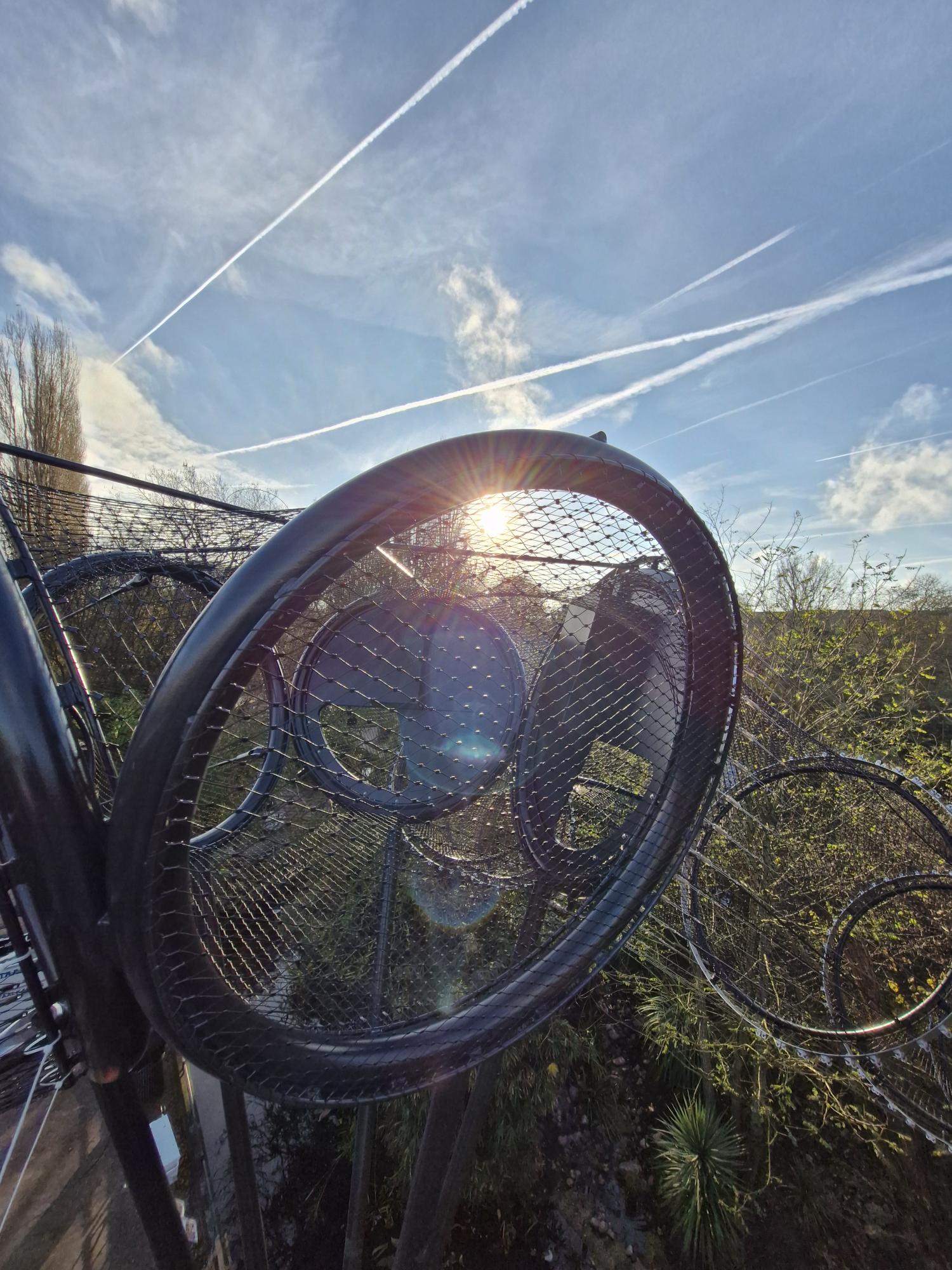 artis kerbertterras detail